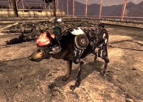 roxie new vegas|Roxie Follower Fixed at Fallout New Vegas .